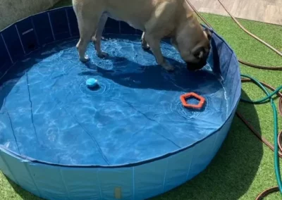 Meggie in zwembad-Meggie dans la piscine-Meggie in the pool